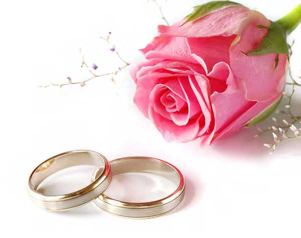 wedding rings and rose