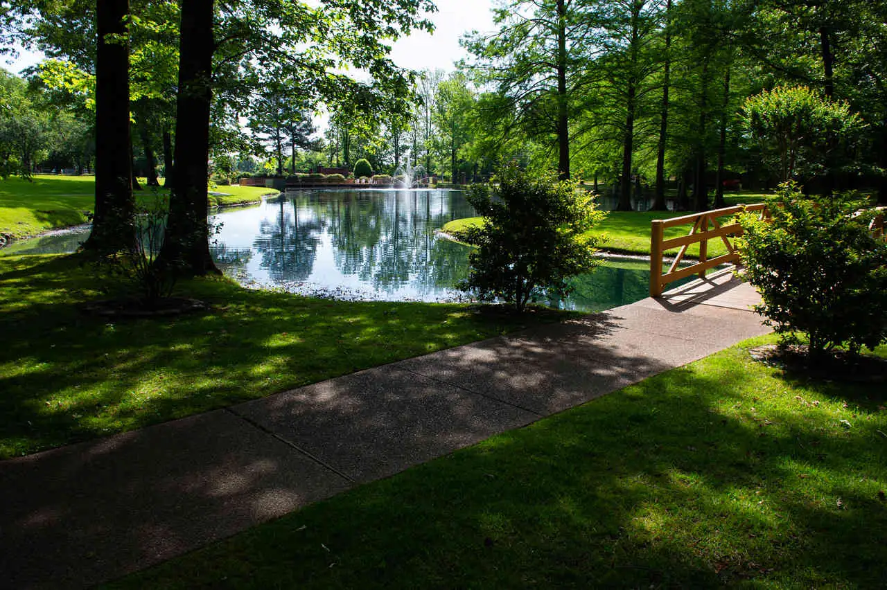 summer time on the campus under the shaded trees with a pathway crossing along the lake