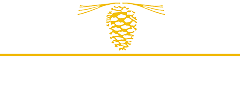 KirbyPinesWhiteGold 1