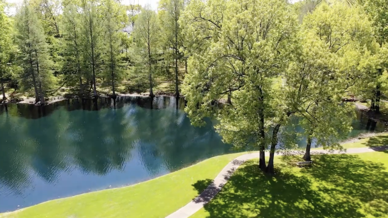 Beautiful green pond and trees at Kirby Pines