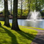 lake and trees