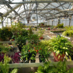 app greenhouse