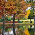 fall lake