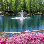 spring lake