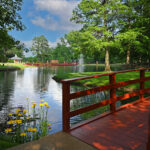 summer time lake
