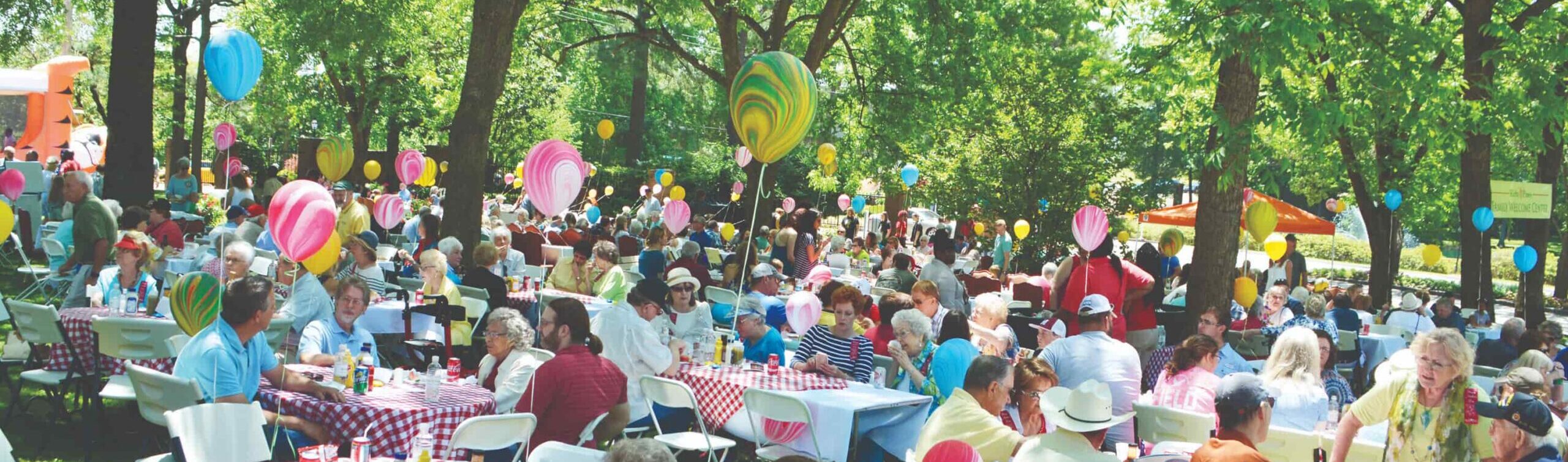 group of people having a mothers day party outside